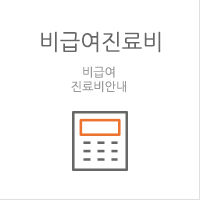 비급여진료비 비급여 진료비안내